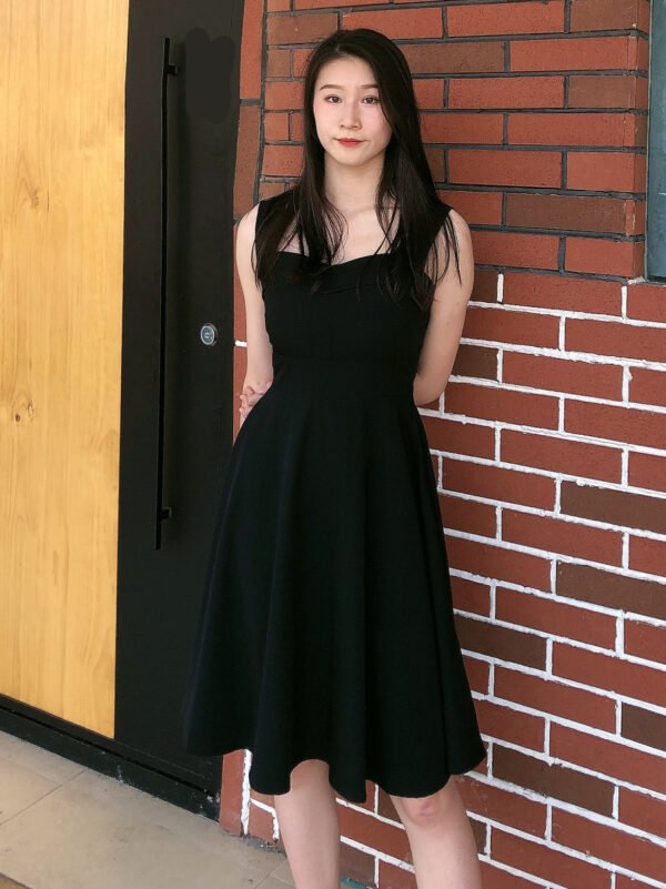 European And American Retro High-waisted Puffy Dress - Image 3
